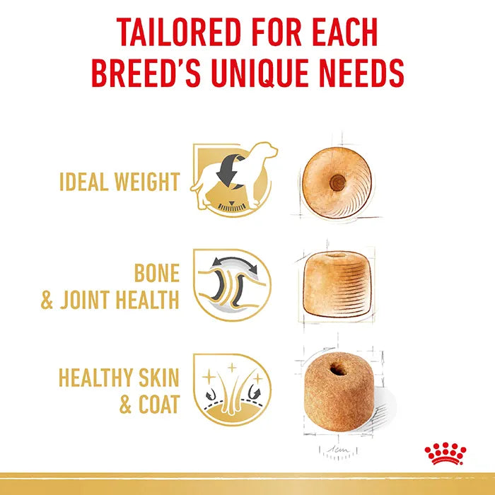 ROYAL CANIN Labrador Dog Food