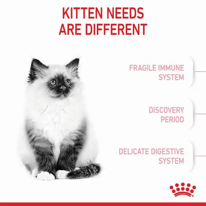 ROYAL CANIN Growth Kitten Cat Food