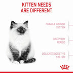 ROYAL CANIN Growth Kitten Cat Food