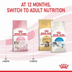 ROYAL CANIN Growth Kitten Cat Food
