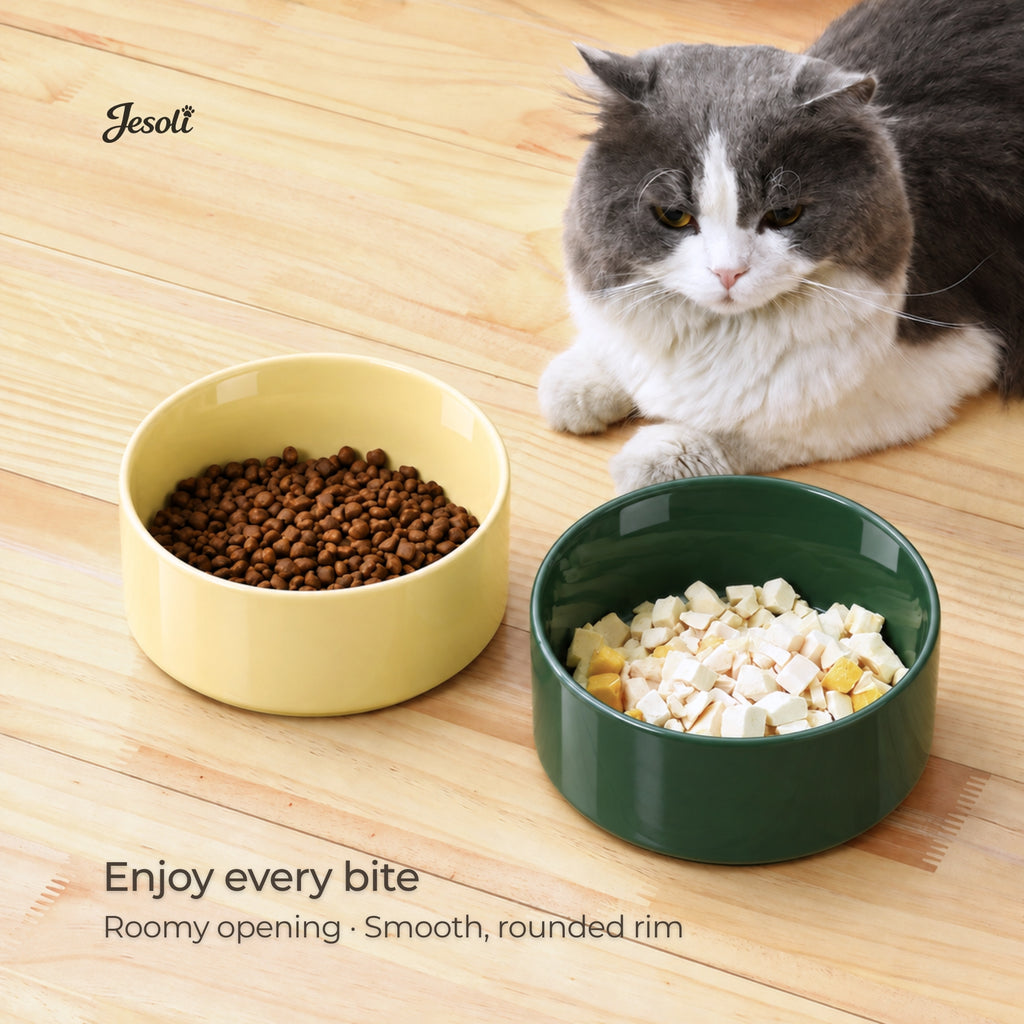 Jesoli Glossy Ceramic Pet Bowl – 850ml – 场景图_干粮湿粮喂食