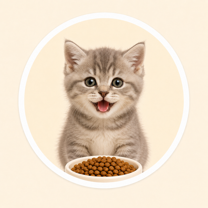 Kitten Food