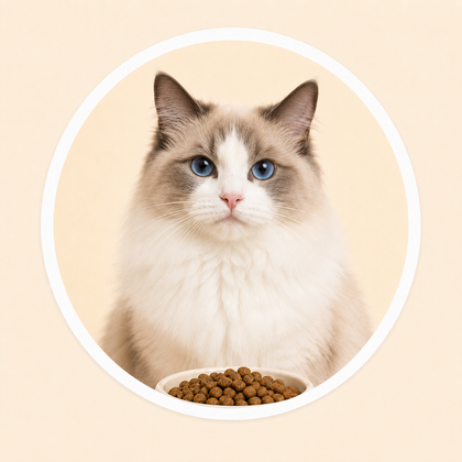 Cat Food
