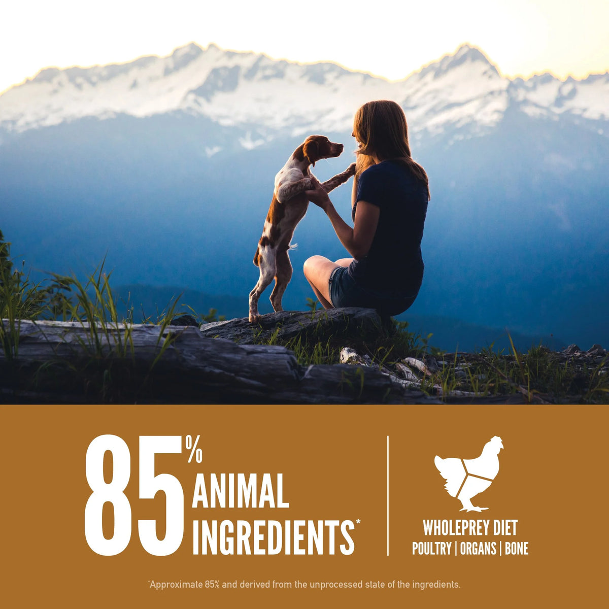 ORIJEN™ PUPPY Food