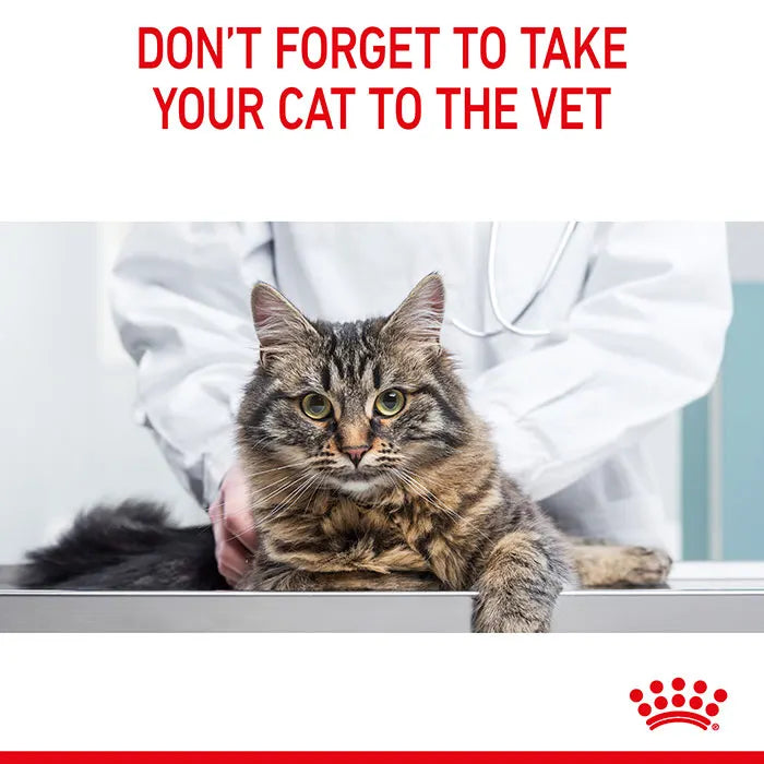ROYAL CANIN Feline Hairball Care Cat Food