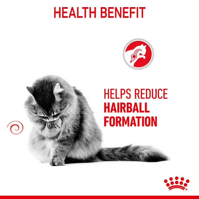 ROYAL CANIN Feline Hairball Care Cat Food