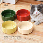 Jesoli Glossy Ceramic Pet Bowl – 850ml – 配色场景图_四款颜色