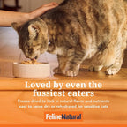 Feline Natural Chicken & Lamb Feast Freeze-Dried Cat Food 800g - Furlio
