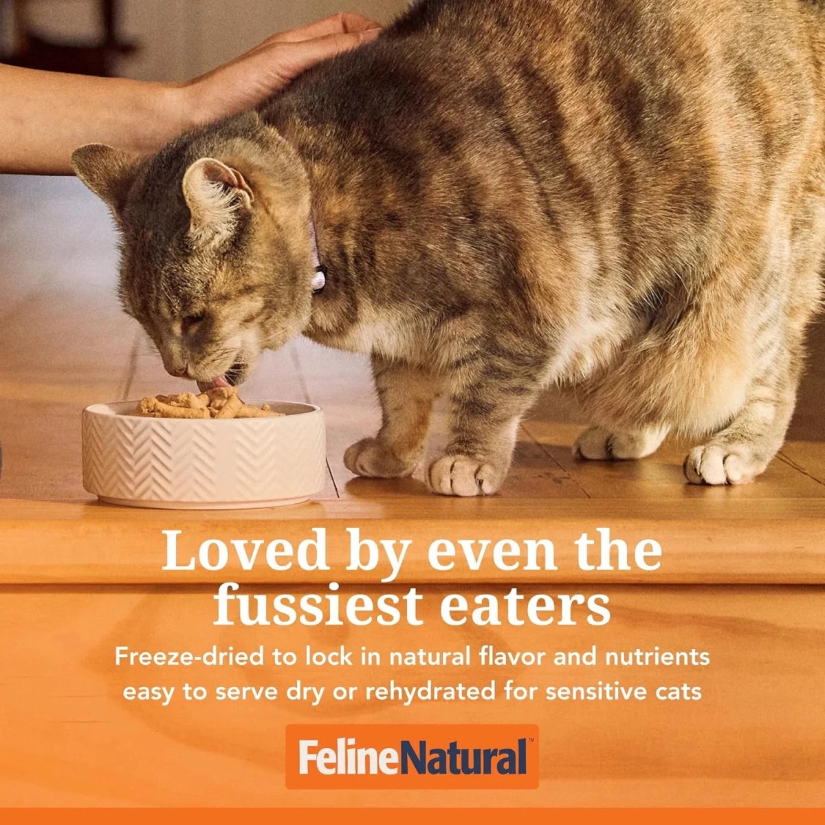 Feline Natural Chicken & Lamb Feast Freeze-Dried Cat Food 800g - Furlio