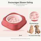 Jesoli Elevated Ceramic Slow Feeder Bowl – 350ml – 功能图_圆润凸点慢食设计