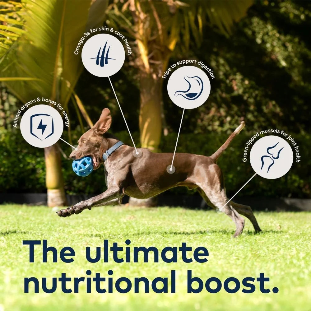 ZIWI Peak Steam & Dried Lamb with Green Vegetables Dog Food