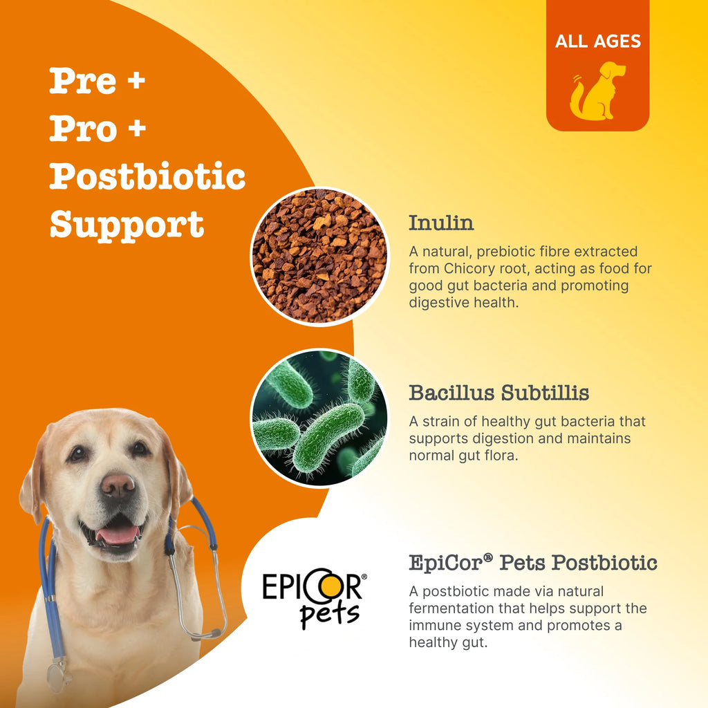 Zesty Paws  Pre, Post and Probiotic Chews For Dogs