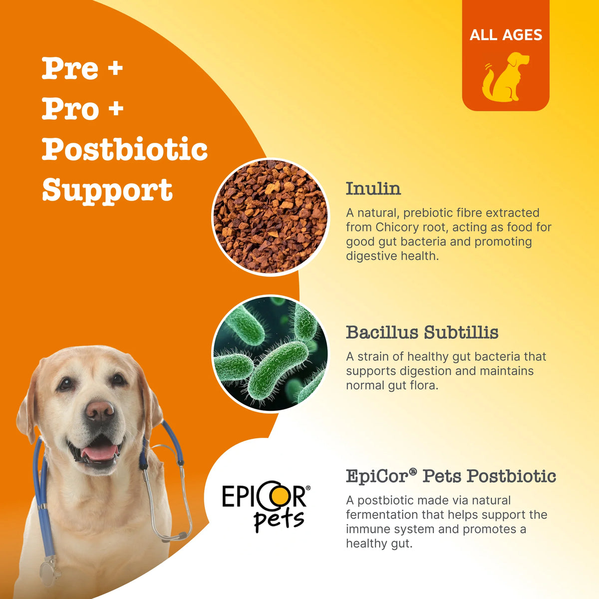 Zesty Paws  Pre, Post and Probiotic Chews For Dogs