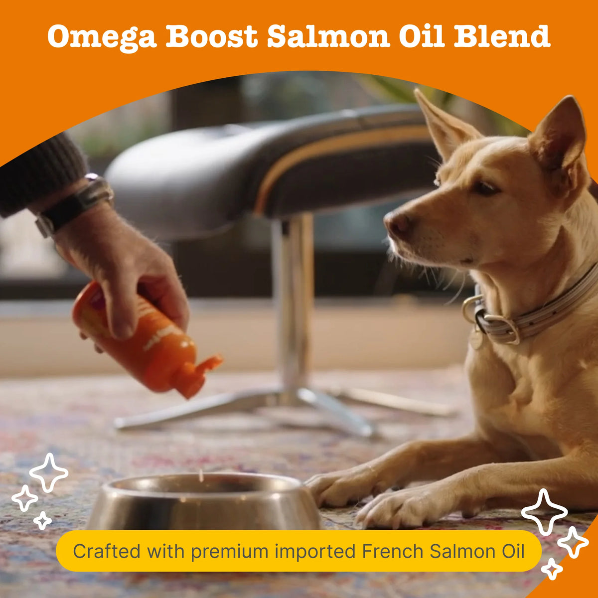 Zesty Paws Omega Boost Salmon Oil Blend For Dogs And Cats