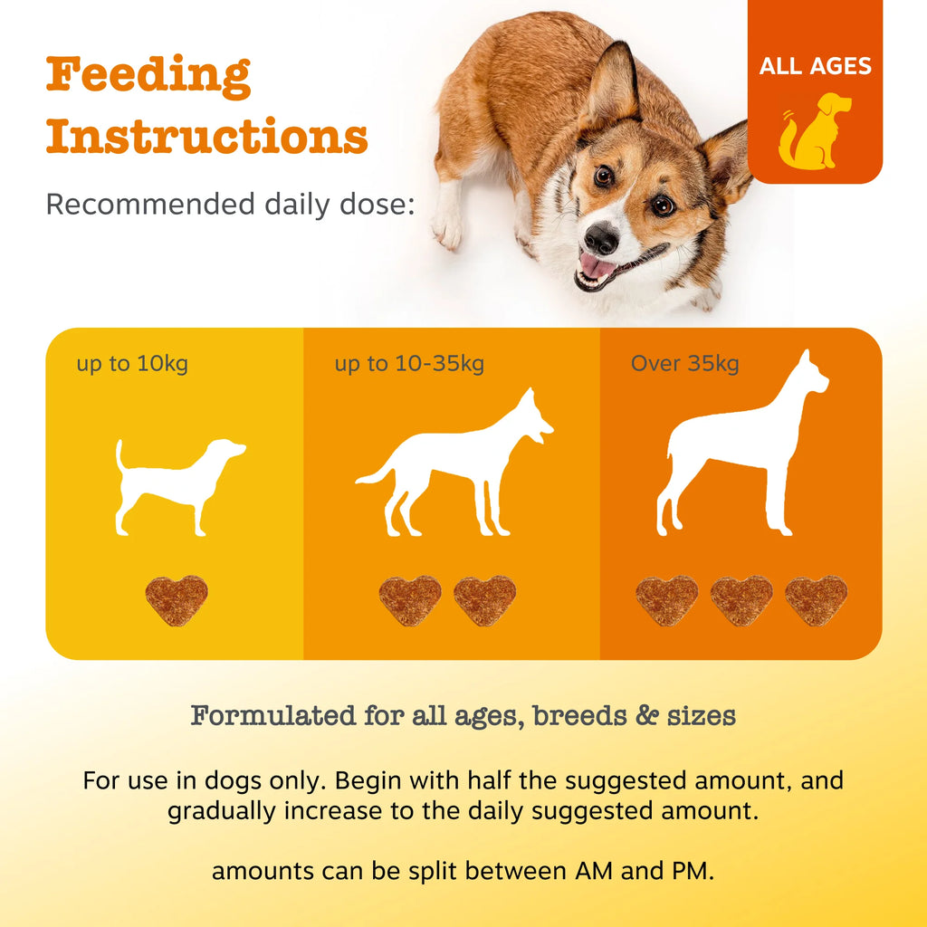 Zesty Paws  10 In 1 Multivitamin Chews Wellness Supplement For Dogs