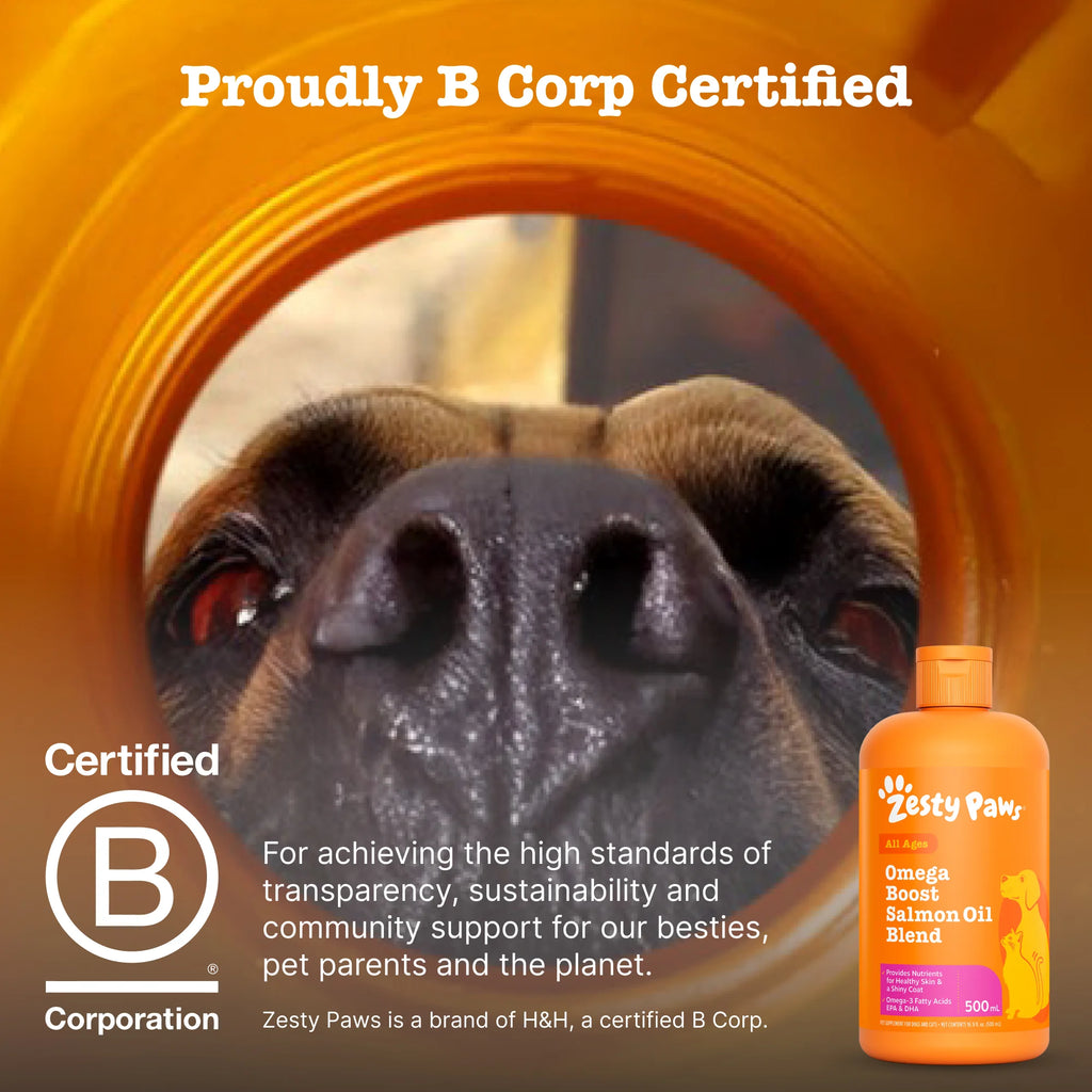 Zesty Paws Omega Boost Salmon Oil Blend For Dogs And Cats
