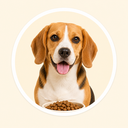 Dog Food
