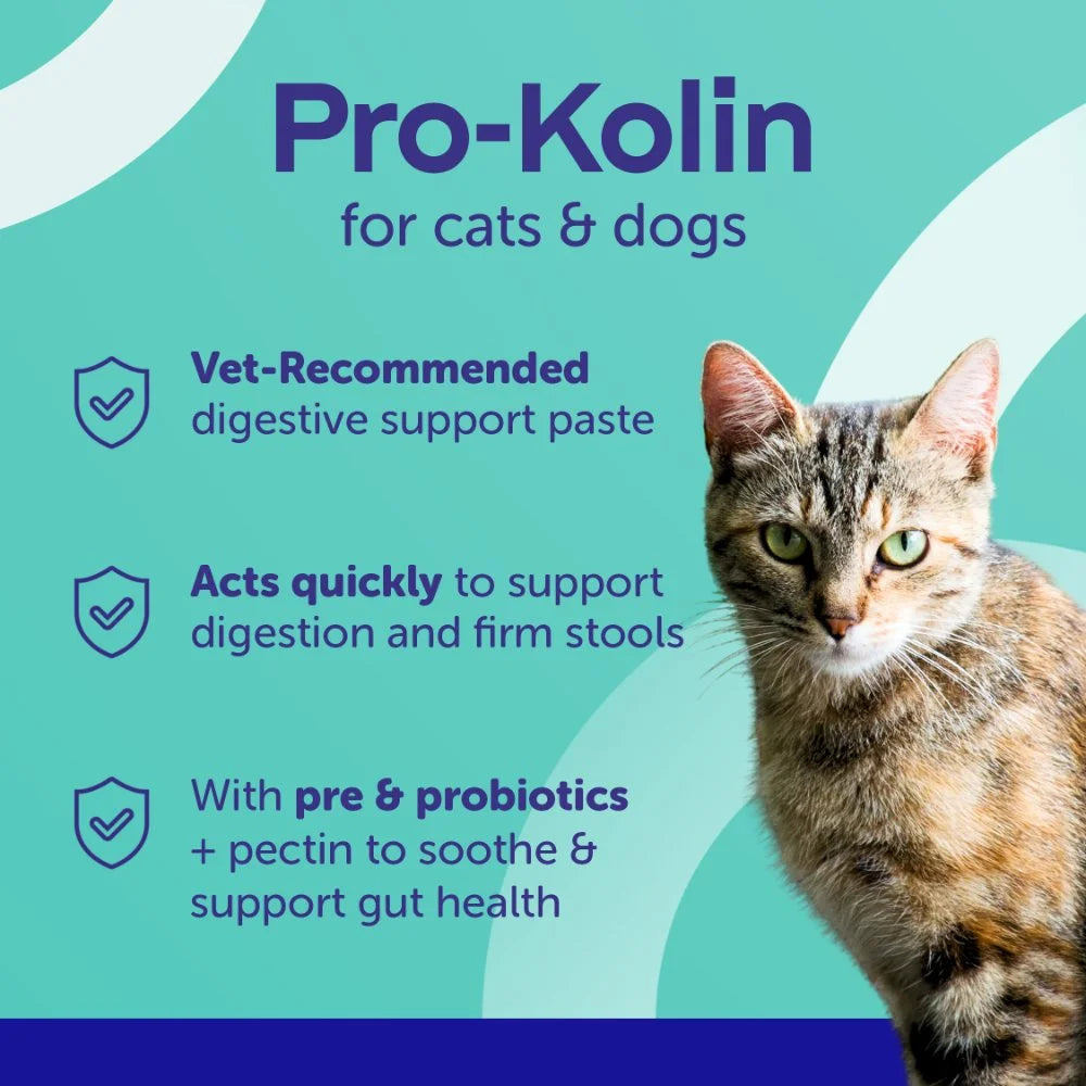 ADM Protexin Pro Kolin+ Probiotic Paste Dogs & Cats Short Term Gastrointestinal Support
