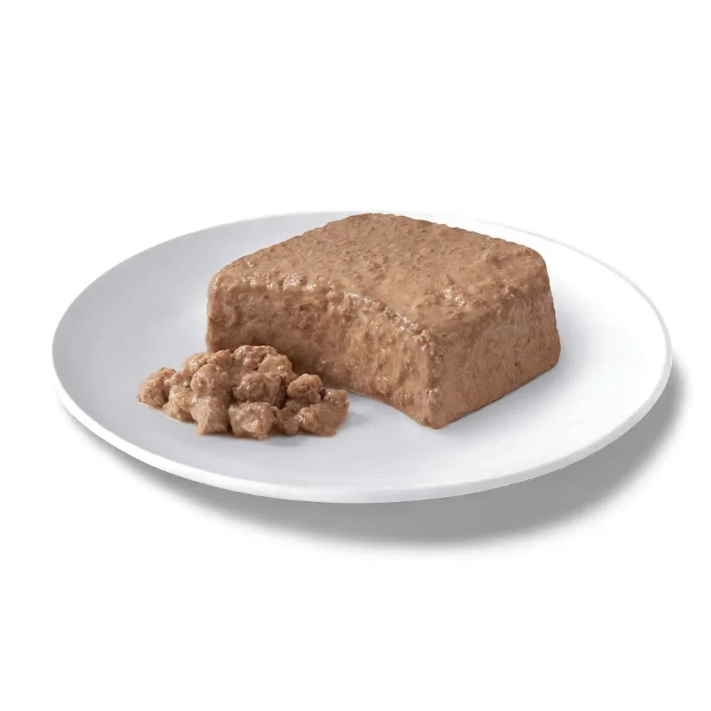 DINE Classic Collection Kitten with Chicken Wet Cat Food Tray - Furlio
