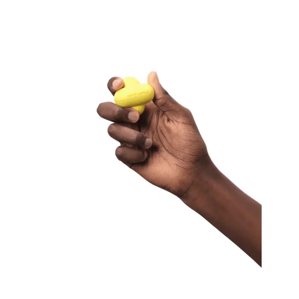 EARTH RATED Dog Fetch Toy - Furlio