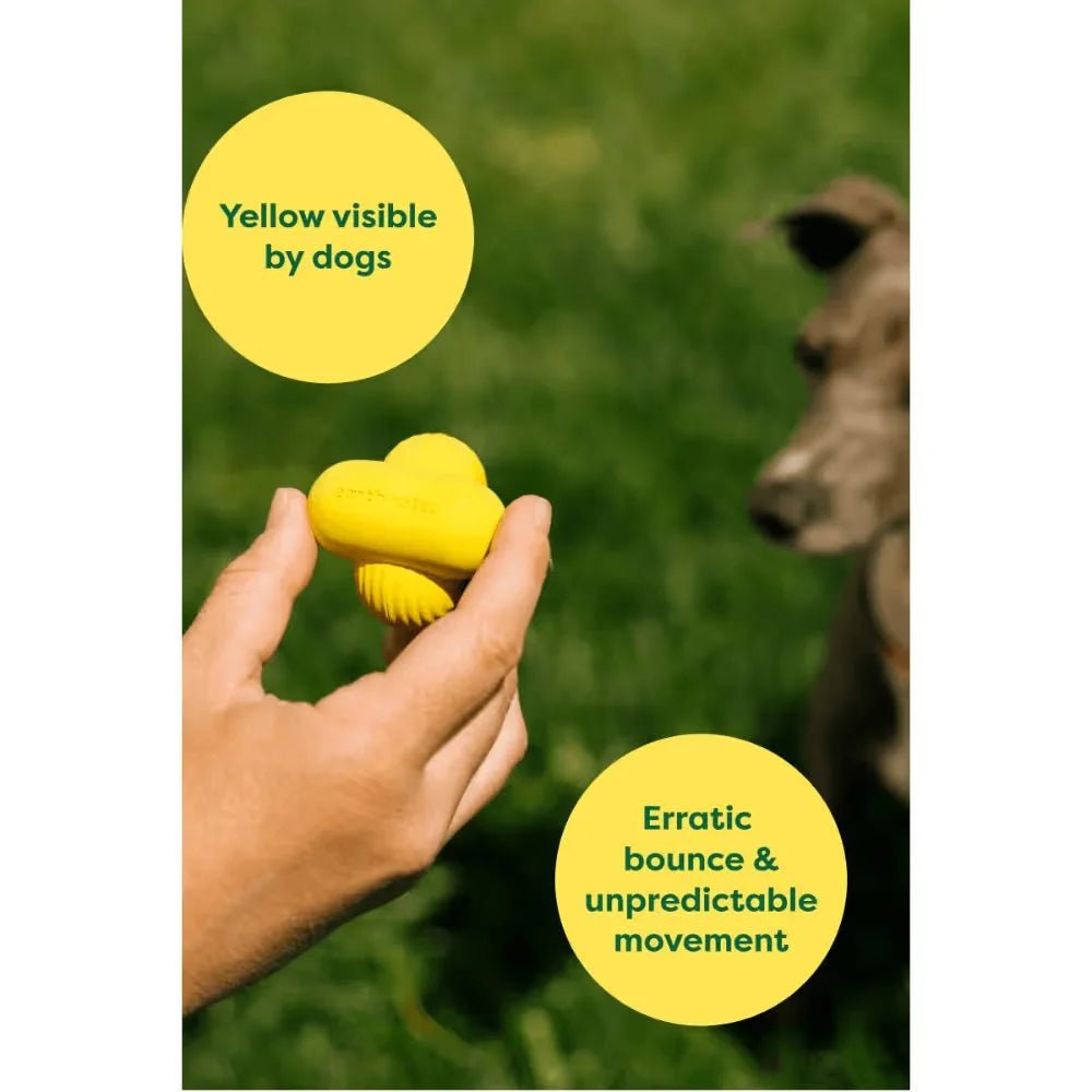 EARTH RATED Dog Fetch Toy - Furlio