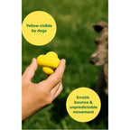 EARTH RATED Dog Fetch Toy - Furlio