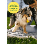 EARTH RATED Dog Fetch Toy - Furlio