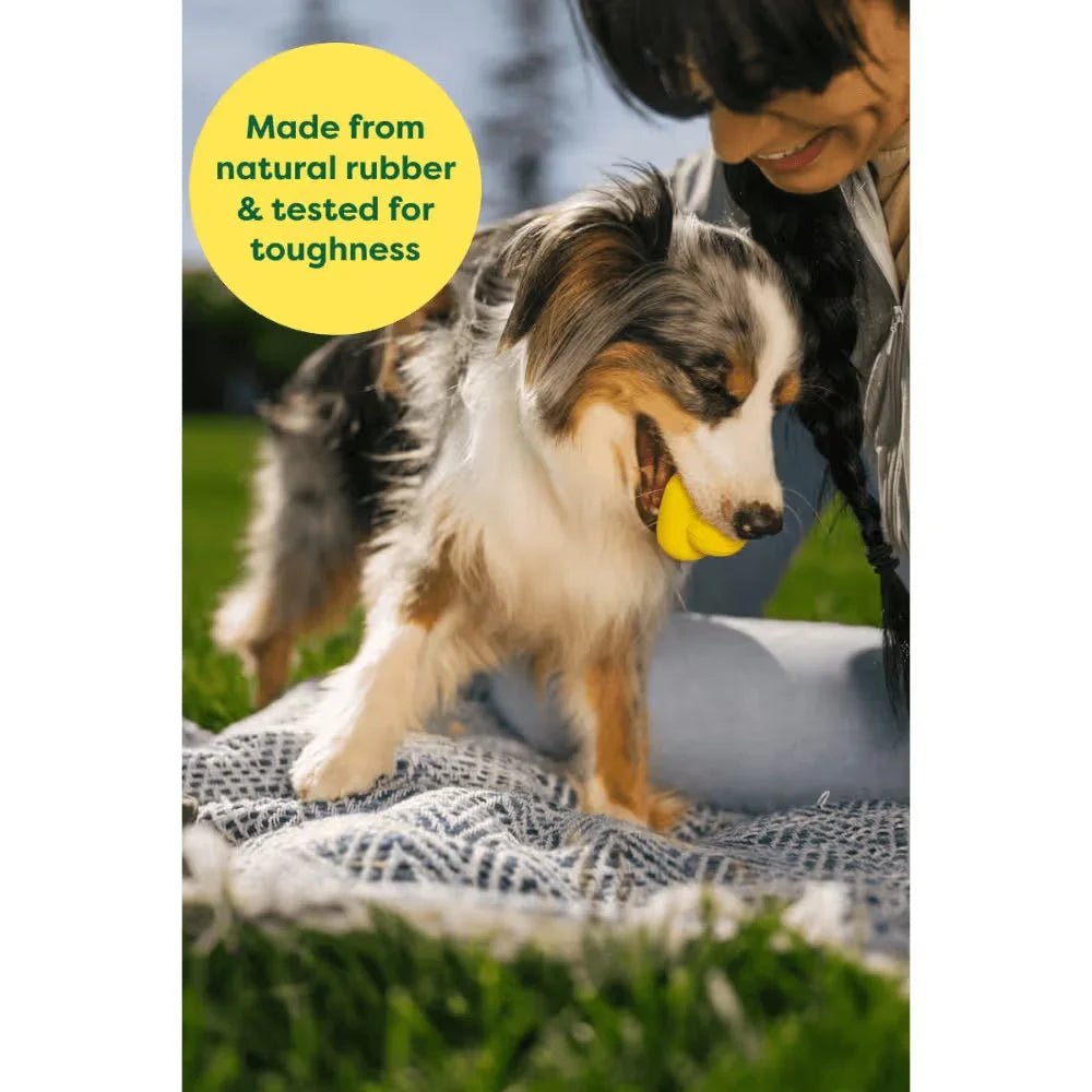 EARTH RATED Dog Fetch Toy - Furlio