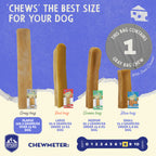 Himalayan Dog Chew  Cheese Xlarge Dog Treat | 🎁 Buy 1 Get 1 FREE – Add 2 to Cart