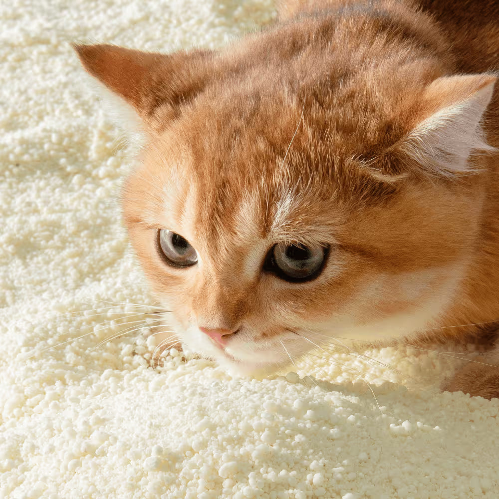 Michu Wonder Litter Unscented Plant-Based Auto Litter Box Friendly Cat Litter