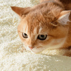 Michu Wonder Litter Unscented Plant-Based Auto Litter Box Friendly Cat Litter