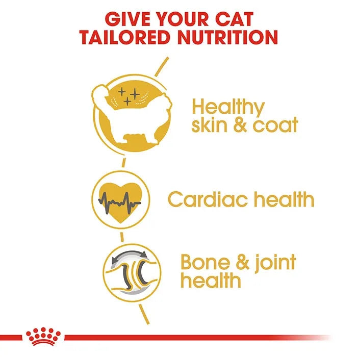ROYAL CANIN Ragdoll Adult Cat Food
