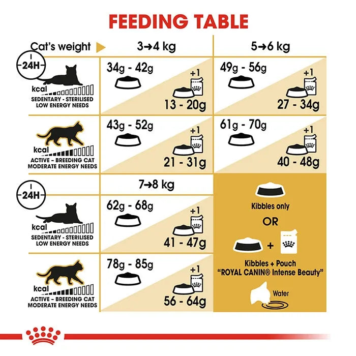 ROYAL CANIN Ragdoll Adult Cat Food