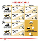 ROYAL CANIN Ragdoll Adult Cat Food