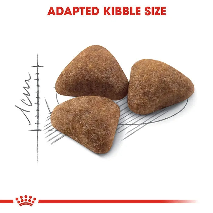 ROYAL CANIN Indoor Adult Cat Dry Food