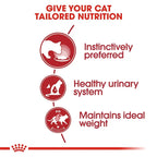 ROYAL CANIN Instinctive Cat Food in Gravy