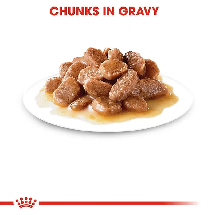ROYAL CANIN Instinctive Cat Food in Gravy