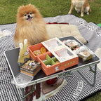 Pawradise Sunny Meadow Fresh Dog Lunch Box | Limited Edition-Pickup Only